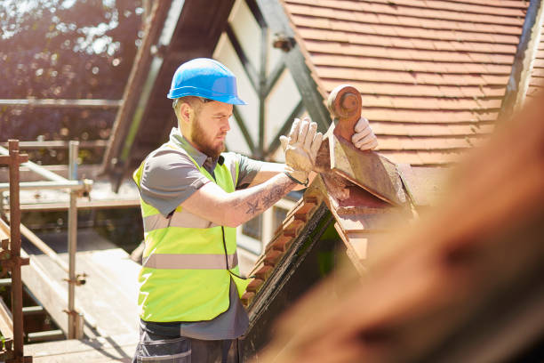 Best Roof Gutter Cleaning  in Urbana, OH